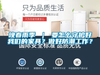 常見問題晚春雨季 ｜ 要怎么守護好我們的家具？做好防潮工作？