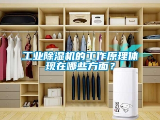企業新聞工業除濕機的工作原理體現在哪些方面？