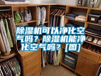 行業新聞除濕機可以凈化空氣嗎？除濕機能凈化空氣嗎？[圖]
