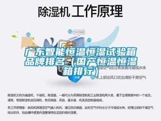 知識百科廣東智能恒溫恒濕試驗箱品牌排名（國產恒溫恒濕箱排行）
