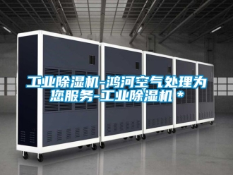 常見問題工業除濕機-鴻河空氣處理為您服務-工業除濕機＊