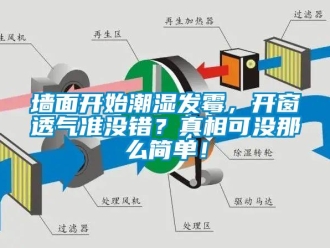 行業新聞墻面開始潮濕發霉，開窗透氣準沒錯？真相可沒那么簡單！
