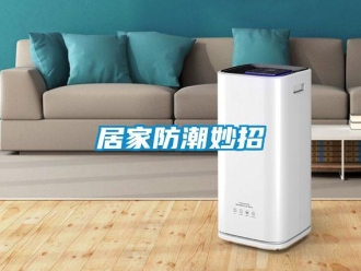 行業新聞居家防潮妙招