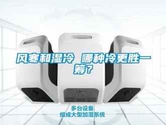 企業新聞風寒和濕冷 哪種冷更勝一籌？