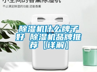 企業新聞除濕機什么牌子好 除濕機品牌推薦【詳解】