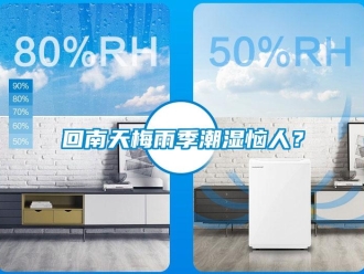 行業新聞回南天梅雨季潮濕惱人？