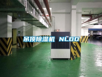 企業新聞吊頂除濕機 NLDD