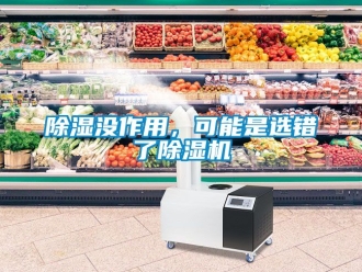 行業新聞除濕沒作用，可能是選錯了除濕機