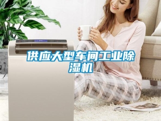常見問題供應大型車間工業除濕機