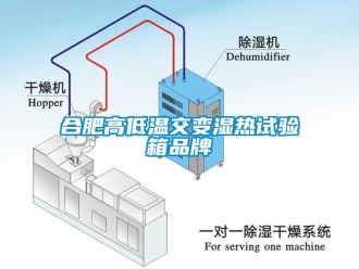 常見問題合肥高低溫交變濕熱試驗箱品牌