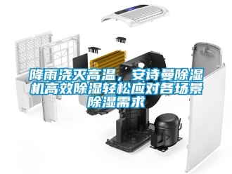 行業新聞降雨澆滅高溫，安詩曼除濕機高效除濕輕松應對各場景除濕需求