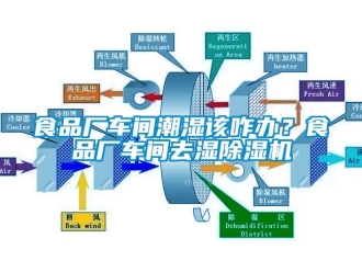 企業新聞食品廠車間潮濕該咋辦？食品廠車間去濕除濕機