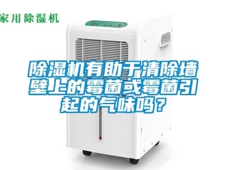 行業新聞除濕機有助于清除墻壁上的霉菌或霉菌引起的氣味嗎？