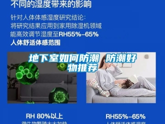 企業新聞地下室如何防潮 防潮好物推薦