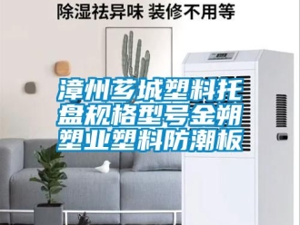 常見問題漳州薌城塑料托盤規格型號金朔塑業塑料防潮板