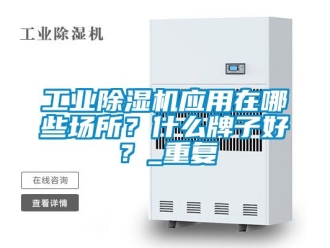 常見問題工業除濕機應用在哪些場所？什么牌子好？_重復