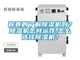 常見問題你真的了解除濕機嗎？除濕機怎樣運作,怎么選擇除濕機？