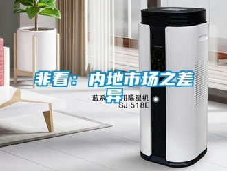 企業新聞非看：內地市場之差異