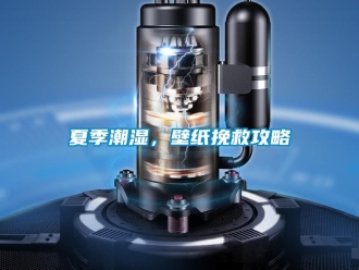 知識百科夏季潮濕，壁紙挽救攻略