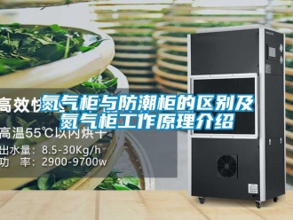 企業新聞氮氣柜與防潮柜的區別及氮氣柜工作原理介紹