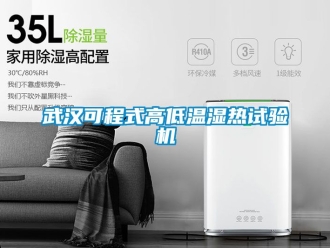 常見問題武漢可程式高低溫濕熱試驗機