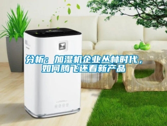 常見問題分析：加濕機企業叢林時代，如何騰飛還看新產品