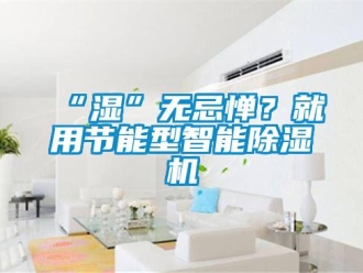 常見問題“濕”無忌憚？就用節能型智能除濕機
