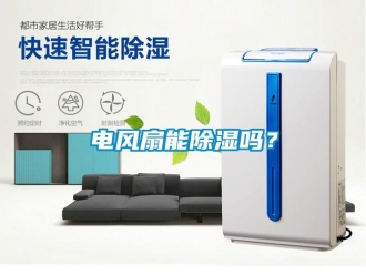 常見問題電風扇能除濕嗎？