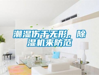 企業新聞潮濕傷于無形，除濕機來防范
