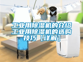 常見問題工業用除濕機的介紹工業用除濕機的選購技巧【詳解】