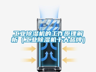 常見問題工業除濕機的工作原理解析（工業除濕機十大品牌）