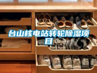 常見問題臺山核電站轉輪除濕項目