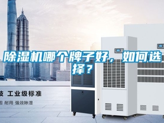 行業新聞除濕機哪個牌子好，如何選擇？