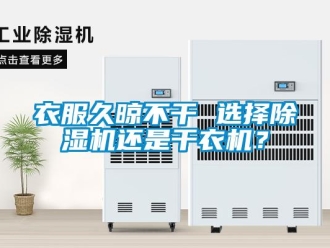 知識百科衣服久晾不干 選擇除濕機還是干衣機？