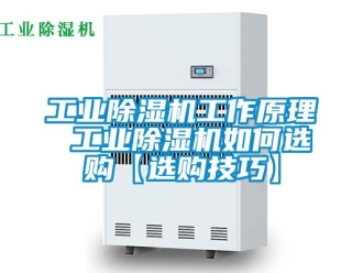 常見問題工業除濕機工作原理 工業除濕機如何選購【選購技巧】