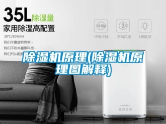 行業新聞除濕機原理(除濕機原理圖解釋)