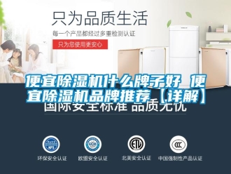 企業新聞便宜除濕機什么牌子好 便宜除濕機品牌推薦【詳解】