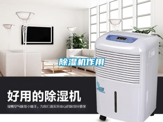 企業新聞除濕機作用