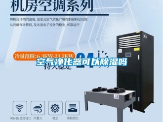 行業新聞空氣凈化器可以除濕嗎
