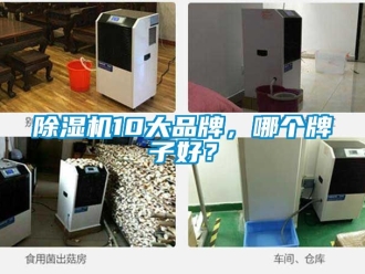 企業新聞除濕機10大品牌，哪個牌子好？
