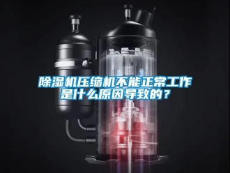行業新聞除濕機壓縮機不能正常工作是什么原因導致的？