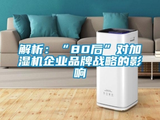 行業新聞解析：“80后”對加濕機企業品牌戰略的影響