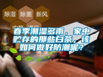 常見問題春季潮濕多雨，家中貯存的那些白茶，該如何做好防潮呢？
