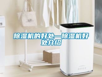企業新聞除濕機的好處—除濕機好處介紹