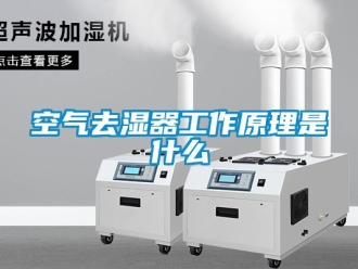 行業新聞空氣去濕器工作原理是什么