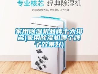 企業新聞家用除濕機品牌十大排名(家用除濕機哪個牌子效果好)