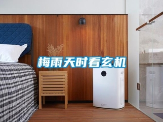 行業新聞梅雨天時看玄機