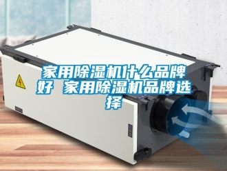 企業新聞家用除濕機什么品牌好 家用除濕機品牌選擇