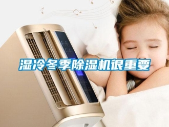 知識百科濕冷冬季除濕機很重要