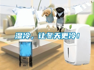 知識百科濕冷，讓冬天更冷！